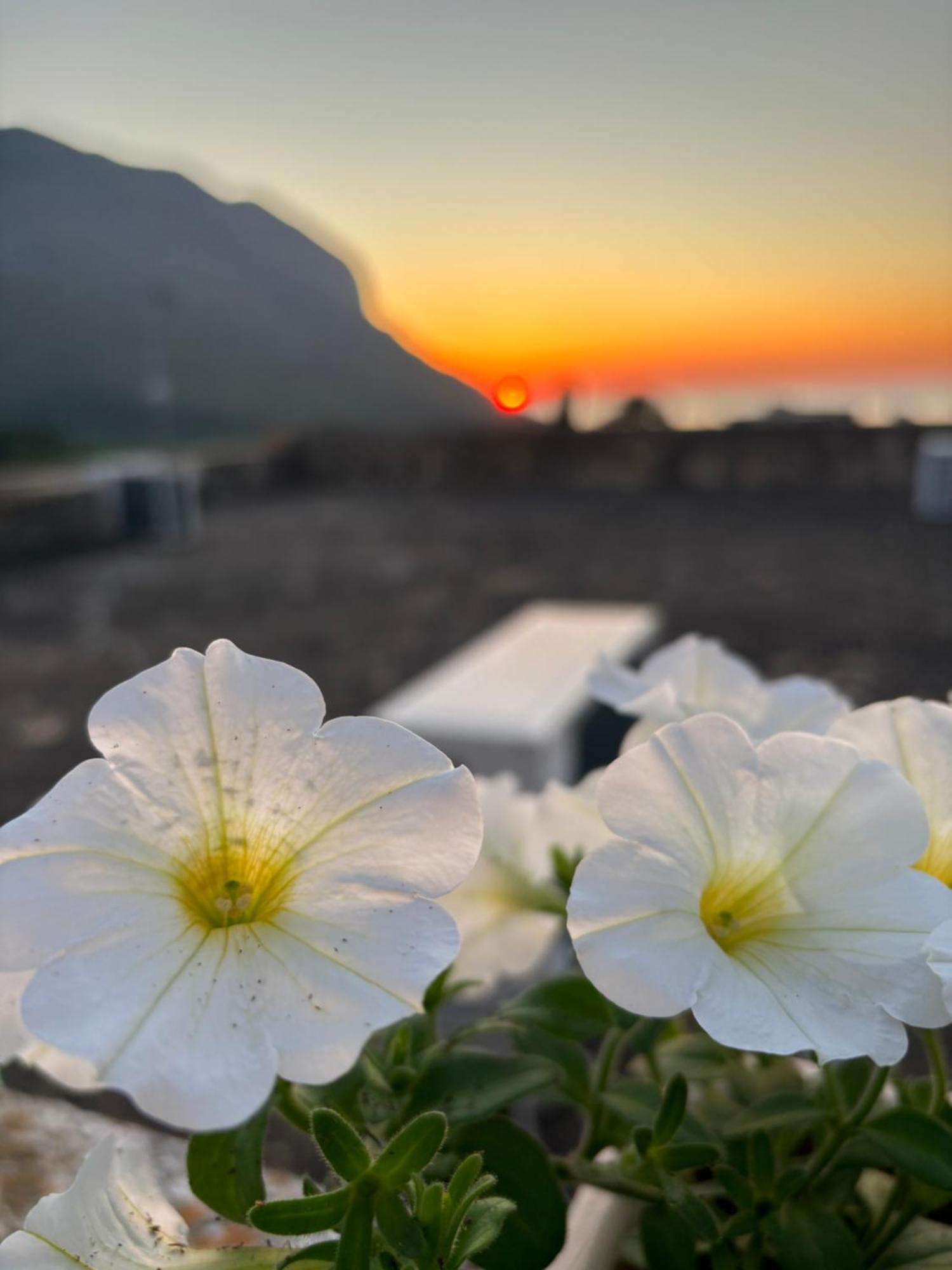 كاستيلوزو Bed And Breakfast Turi المظهر الخارجي الصورة